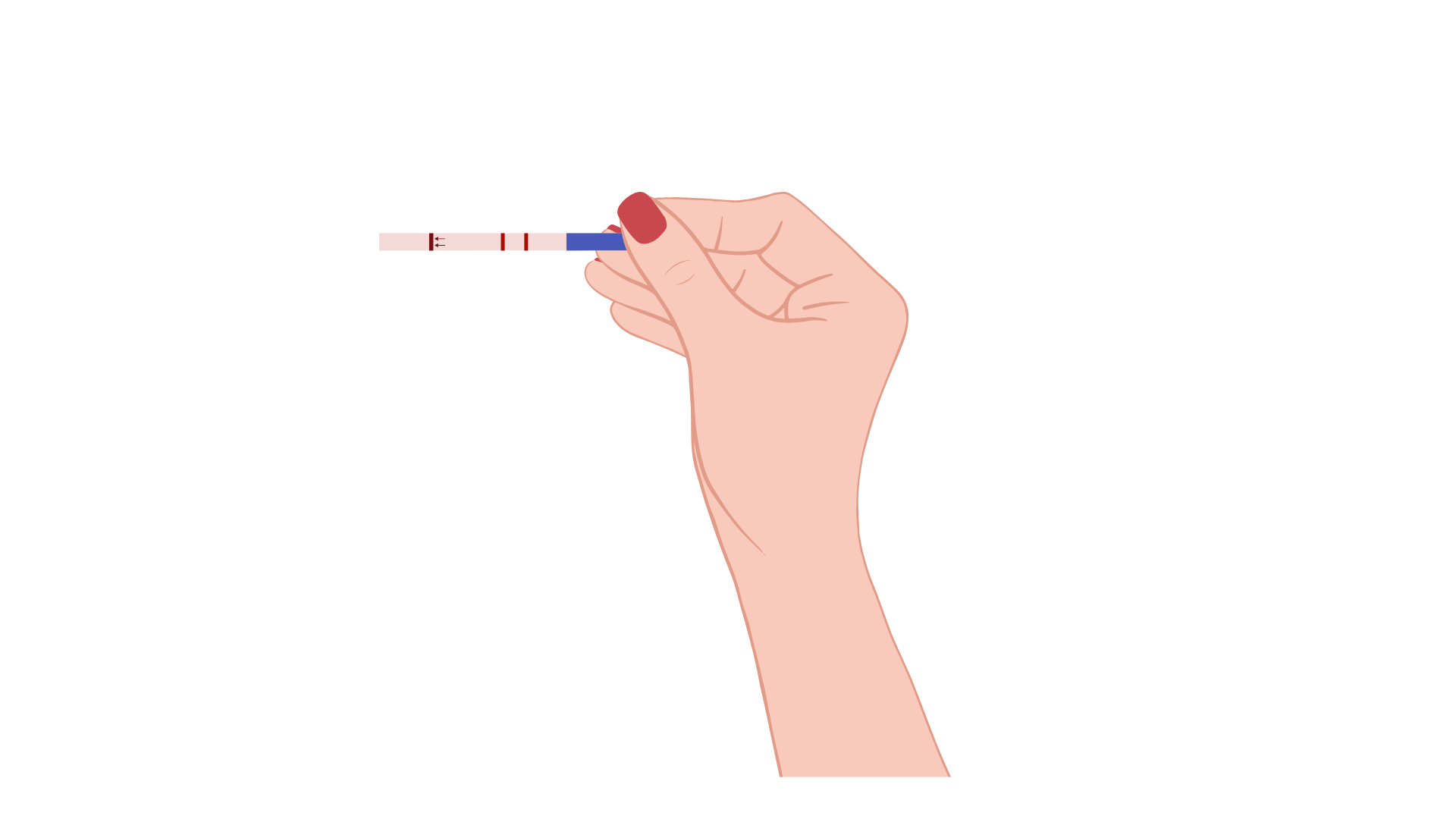 ovulation test strips